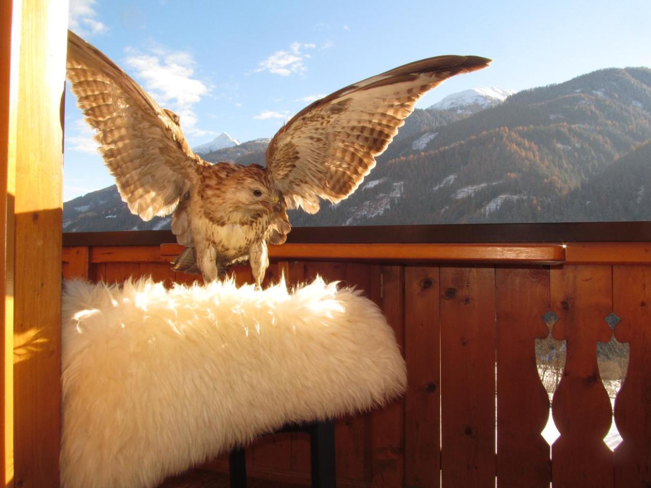 Klampererhof Villa Virgen Dış mekan fotoğraf